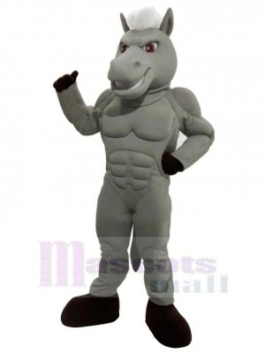 Puissance Cheval gris Corps avec blanc Cheveux  Mascotte Costume Dessin animé