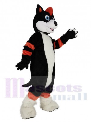 Chien husky maskottchen kostüm