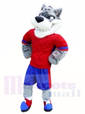 Meilleure qualité loup Costumes De Mascotte