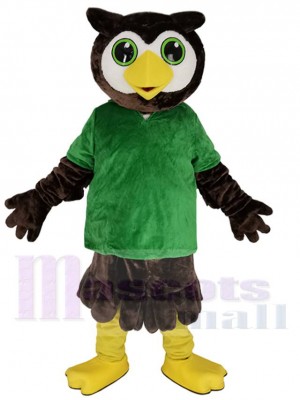 Chouette costume de mascotte