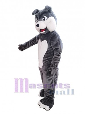 Chien costume de mascotte