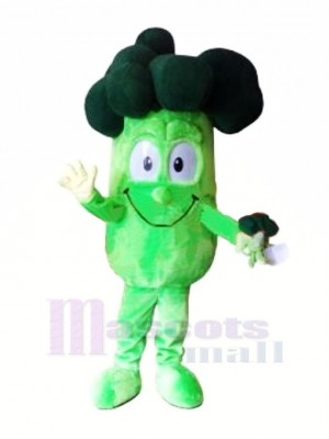 Haute Qualité brocoli Mascotte Costume Dessin animé