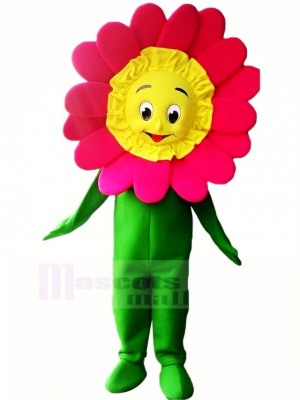 Haute Qualité Tournesol Mascotte Costume Dessin animé