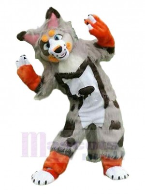 Chien costume de mascotte