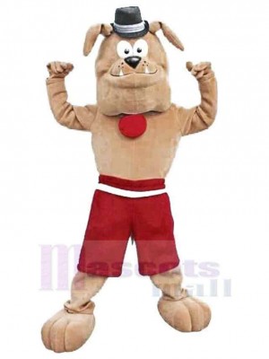 Chien costume de mascotte