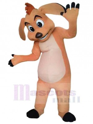 Chien costume de mascotte
