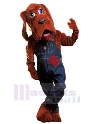 Chien costume de mascotte
