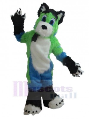 Chien costume de mascotte