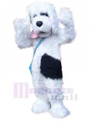 Chien costume de mascotte