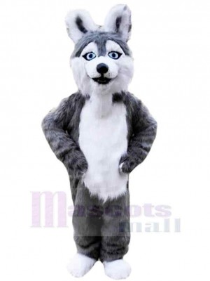 Chien costume de mascotte