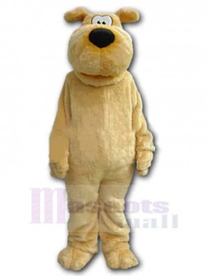 Chien costume de mascotte
