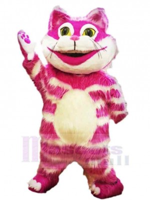 Chat costume de mascotte
