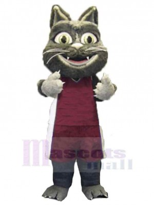 Chat costume de mascotte
