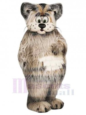 Chat costume de mascotte