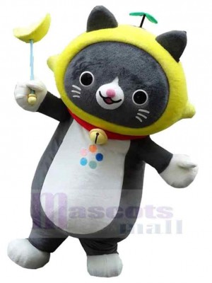 Chat costume de mascotte