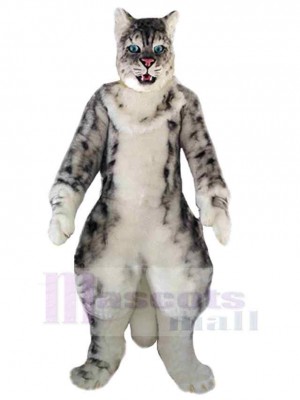Chat maskottchen kostüm