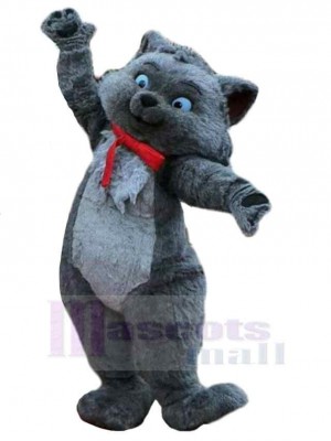 Chat costume de mascotte