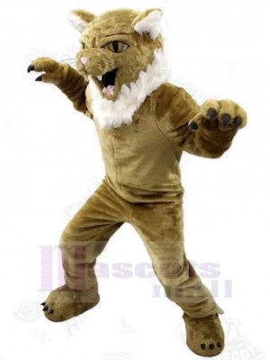Chat costume de mascotte