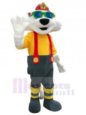Chat costume de mascotte