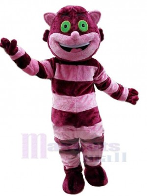 Chat costume de mascotte