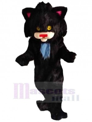 Chat costume de mascotte