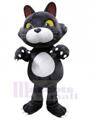 Chat costume de mascotte