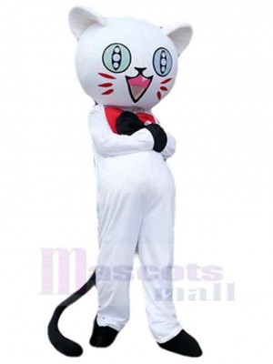 Chat costume de mascotte
