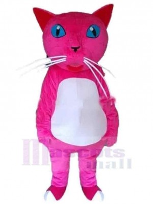 Chat costume de mascotte