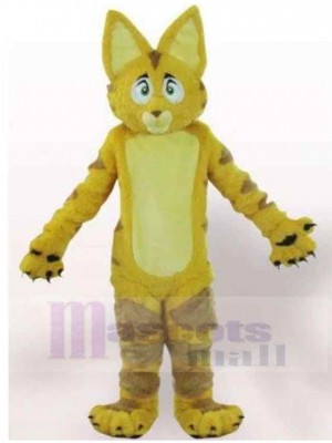 Chat costume de mascotte