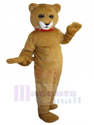 Chat costume de mascotte