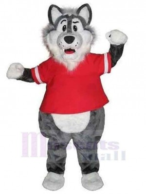 Loup costume de mascotte