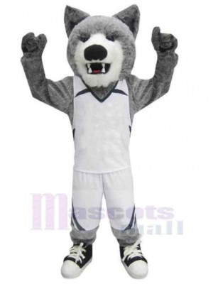 Loup costume de mascotte