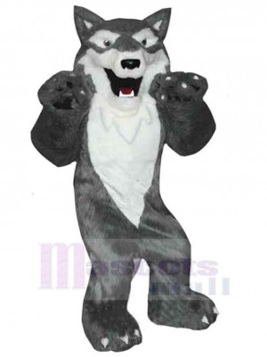Loup costume de mascotte