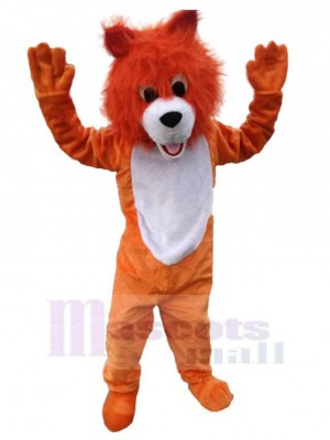 Loup costume de mascotte