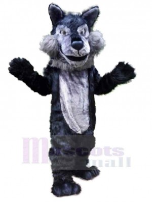 Loup costume de mascotte