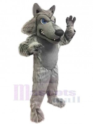 Loup costume de mascotte