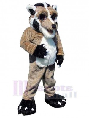 Loup costume de mascotte
