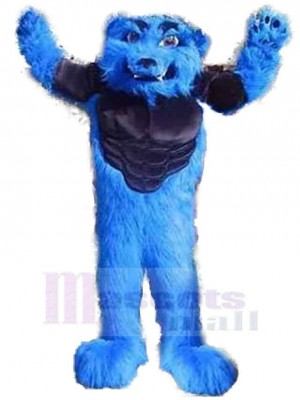 Loup costume de mascotte