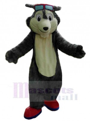 Loup costume de mascotte