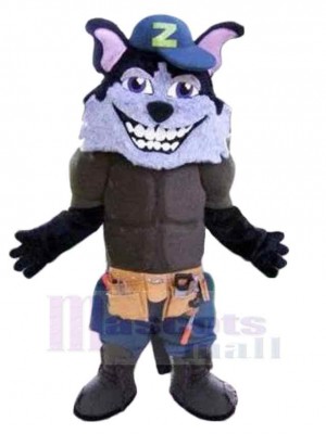 Loup costume de mascotte