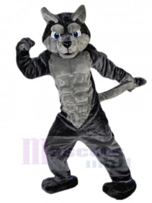 Loup costume de mascotte