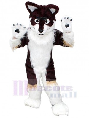 Loup costume de mascotte