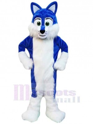 Loup costume de mascotte