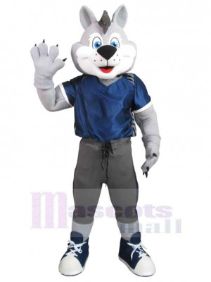 Loup costume de mascotte