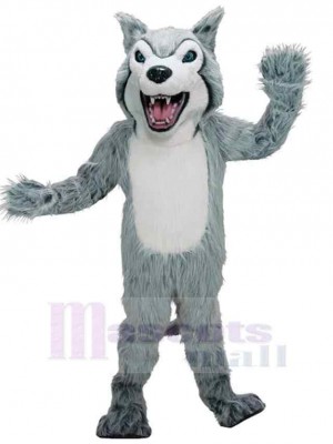 Loup costume de mascotte