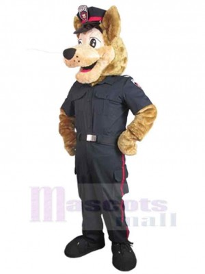 Loup costume de mascotte