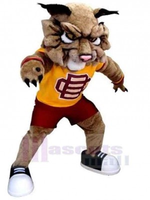 Tigre costume de mascotte