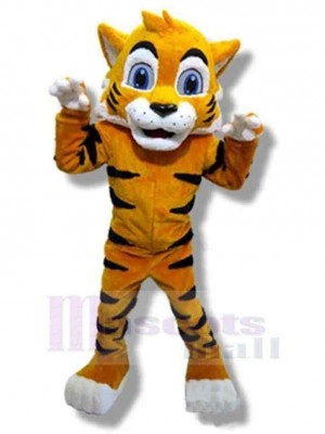 Tigre costume de mascotte