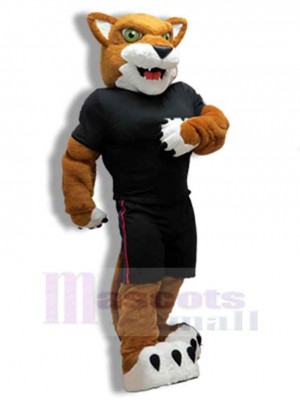 Cougar costume de mascotte