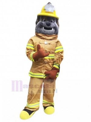 Chien costume de mascotte